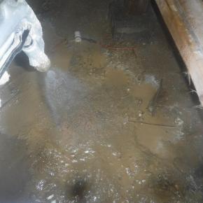 風呂場まで被害が広がっていて床下のチェックが大事だと痛感しました