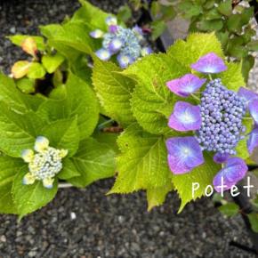 【小4息子】ショッピングモールでの出来事〜成長を感じたちょっと切ない瞬間〜 