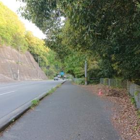 朝ジョグで驚いたこと。。電柱の影に男性が((( ；ﾟДﾟ)))