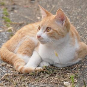 オサムから言われた「なるほど」集①