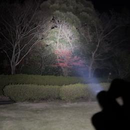 GPTおすすめLED懐中電灯、屋外で照射実験してみた！