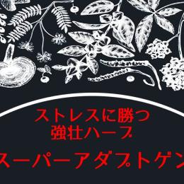 【 スーパー アダプトゲン 一覧 】 ストレス に勝つ アダプトゲン ランキング TOP5