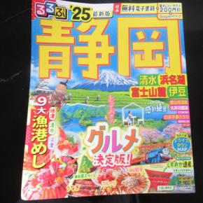 2025静岡旅行記序章～ゴールデンウィークに取れなかったホテルを予約する～