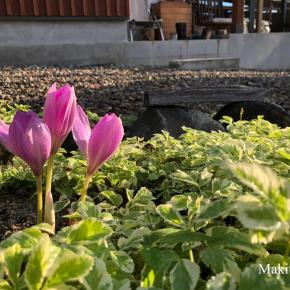 くだらない複式簿記と想い出した癒しの空間