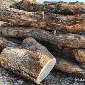 悪戦苦闘の丸太とゴミ箱行きの薬