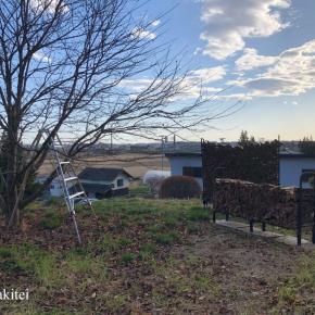 今年最後の草刈りと桜の剪定と姪っ子からの招待状