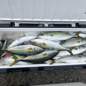 2024/10/5土 ジギング 愛媛 青島周辺