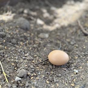 真正面から人生を掴みにいく