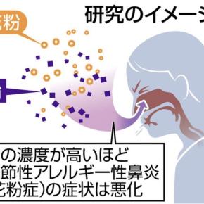 花粉症の原因、大気汚染物質「鉛」の濃度だった スギ花粉に空気中の「鉛粒子」が付着し症状を悪化させる 名大と福井大チーム発表