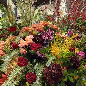 連日のオンラインお茶会で吠える澪標