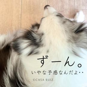 ムスメ懇談、ぶーたん病院な一週間