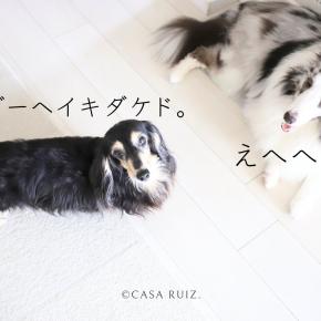 ぶーたんカートとジーンのステロイド