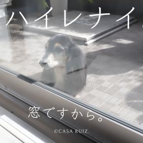 見えないジーン。