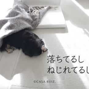 ジーンとぶーたんの病院