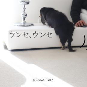 ルイズ家のとある微妙な休日