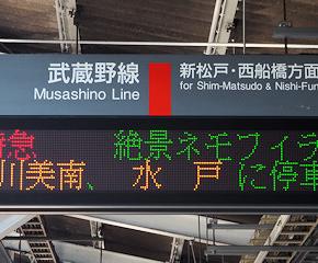 2025年GWの撮影記（その4）～出発案内表示器から列車名称が見切れた「特急 絶景ネモフィラ高尾号」～(2025.5.3)