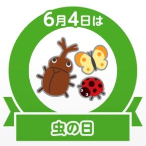 最近見た虫教えて！