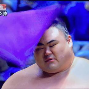 結びで金星おむすび君