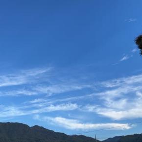 燃え尽き症候群？