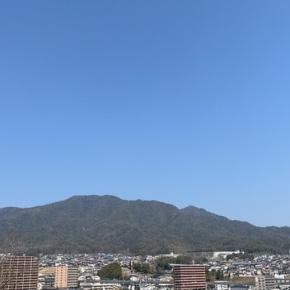 春の芽吹き＆【読書】謎解き2冊 