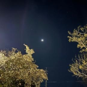 《薬の効き目vs副作用》のバランス を想う… 