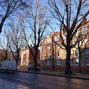 アイルランドでマイホーム購入は夢のまた夢？『サンドラの小さな家』から考えるアイルランドの住宅問題について