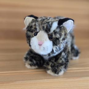 娘と秋旅★あっという間の西表島③