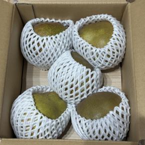 ゆうちょ銀行の株主優待が到着！優待品（ラフランス）の感想と最新株価・利回りをチェック