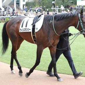 【シックスペンス】今のところ大丈夫そうです4月最初の週の更新牡馬編【ヴィンセンシオ】ほか
