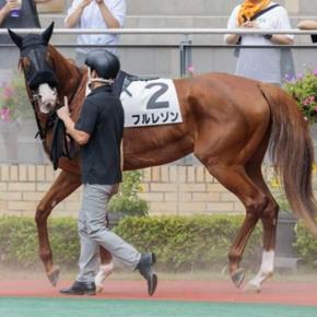 【シックスペンス】9月最初の週の外厩滞在各馬の近況更新【ヴィンセンシオ】ほか