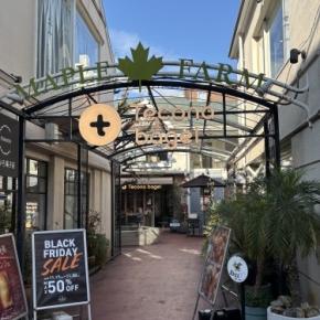 テコナベーグル アールグレイ蜜りんご（ふか）