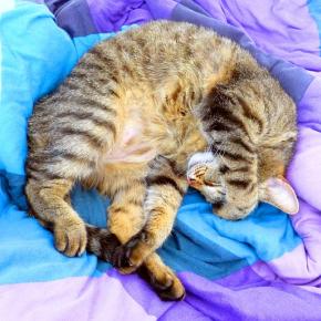 腹式呼吸が難しく感じる方へ