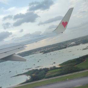 スカイマークB737-800で下地島から羽田へ2;機内・機内有料おやつ(2025冬NCDC宮古島潜水飲食旅17)