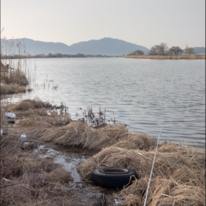 2025年の釣りを振り返って・・・