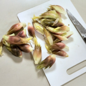 秋ミョウガの甘酢漬け