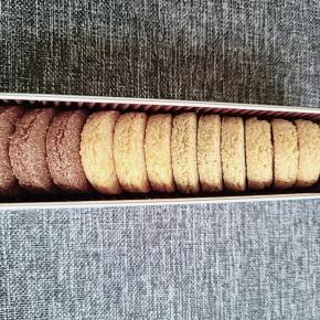 交流学級のクラスメイトに障害をどう伝えるか？