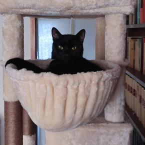 太陽礼拝60分！