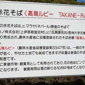 3わんと一緒のキャンカー旅 今回は木曽の奈良井宿の旅の2日目の続きですぅ〜❗奈良井宿でも赤花そばでもまた駐車場までの道のりでも、本当に沢山の色々な人達からお声をかけてもらって嬉しかったです〜❗