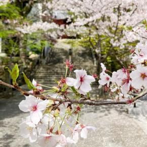 ★4/12 何があっても大丈夫