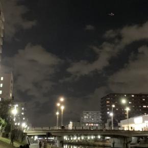 今日は初夢の日「Gracious!-The Dream (UK)」