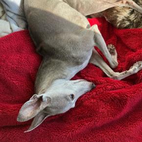 小1：くもん：6月2回目のお教室