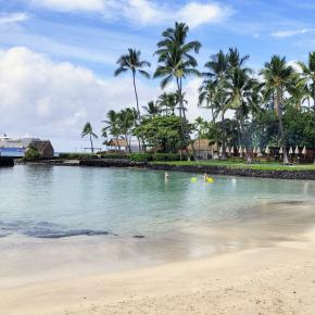 No.41 カイルアコナの街イルカとカメハメハ大王【太平洋ぐるり周遊往復横断クルーズ60日】