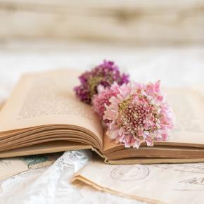 ステロイド薬ブレドニゾロン（ブレドニン）の副作用～1年9ヶ月経過～