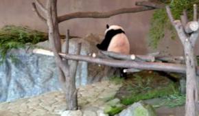 「2週間で脂肪撃退！中年男の体質改善日記」・・・ライ〇っプよりすごいかも（笑）