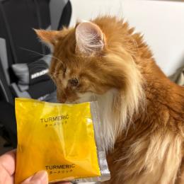 結局はカレーで始まるお正月