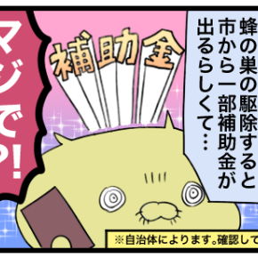 スズメバチの巣を駆除せよ⑩ 〜おまけ〜