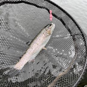 2025/5/17 上浜つり掘りセンター釣行