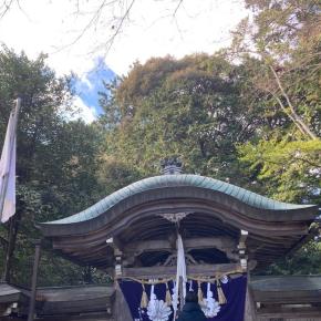 やっぱり静かな正月になりました