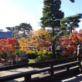 横歴京都deep観光（2）