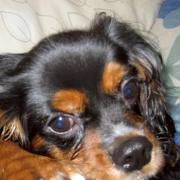 今年もよろしくお願いいたします